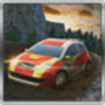 Rally Car Drift Racing 3D 1.1