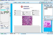 病理图文报告系统 2014