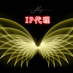 IP代理软件 12.8