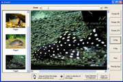 GOGO Image Viewer Lite ActiveX Control 1.90