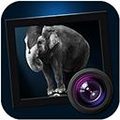 JixiPix Dramatic Black White Mac版 版本：V2.6.5