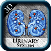 Urinary System 3D pins Mac版  1.0 正式版