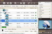 4Media DVD Ripper Platinum for Mac5 7.0.0.1121