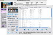 iMacsoft DVD to BlackBerry Suite For Mac 2.8.8.0510 正式版