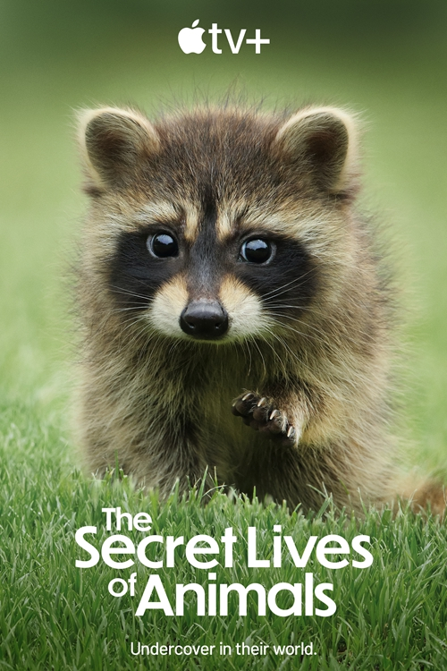 [BT下载][动物的秘密生活 The Secret Lives of Animals 第一季][全10集][英语中字][MKV][720P/1080P][AppleTV+.