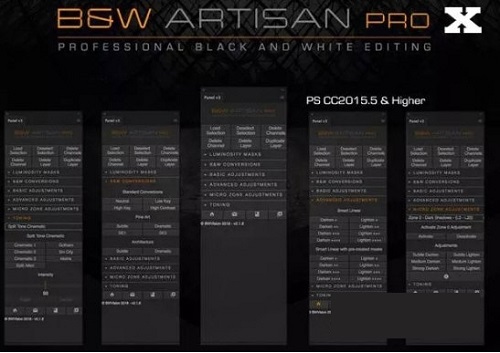 BW ARTISAN PRO X