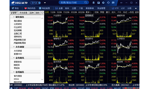国信证券金太阳网上交易专业版