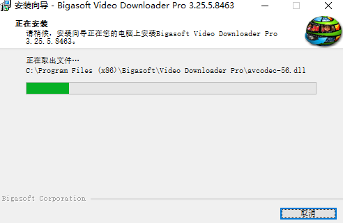 Bigasoft Video Downloader Pro