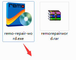 Remo Repair Word